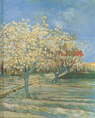 Vincent Van Gogh Orchard in Blossom (nn04) China oil painting art